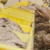 Exportaciones de Ecuador crecen pese al golpe de la pandemia