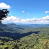 Ambiente oficializa corredor ecológico entre Llanganates y Yasuní para fortalecer la conectividad andino-amazónica