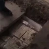 Hallan millones de dólares encaletados en vivienda de Capitán de la policía
