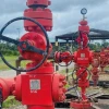 El plan contempla nuevas perforaciones, recuperación de pozos y mayores inversiones para revertir la caída de la producción nacional
                                                width=