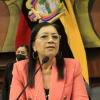 La Asamblea aplazó votación de los Pandora Papers