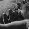 Mujer que intentó vender a su hija pasará más de 5 años en la cárcel