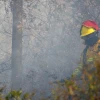 Cinco incendios movilizaron a equipos de emergencia en cuatro provincias