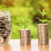 ¿Cómo adoptar estrategias de inteligencia financiera? 