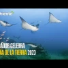 Ecuador celebra el Día Internacional de la Tierra, 2023