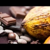 Ecuador ya es el tercer productor de cacao a nivel mundial 