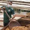 La tonelada de cacao bajó a $ 7.768,50