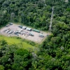 El petróleo convive en selva que no puede tocarse en Ecuador
