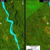 La expansión de pastos impulsa la deforestación en la Amazonía ecuatoriana  