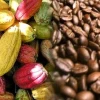 Los precios del cacao y el café siguen aumentando