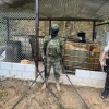 El Ejército decomisó 700 galones en Zamora Chinchipe