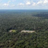 El área protegida del Yasuní crecerá de 60.000 a 100.000 hectáreas