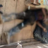 Las FF.AA. abatieron a miembro de los Comandos de la Frontera en Orellana