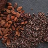 El precio del cacao ha disminuido 30 %  