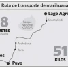 Furgoneta llevaba marihuana hasta en las puertas