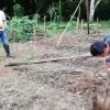 Vivero forestal permitirá reforestar áreas cercanas al Parque Nacional Yasuní 