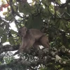 La Amazonía ecuatoriana alberga reservas y parques imperdibles 