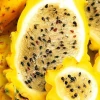 Perú cerró la importación de pitahaya ecuatoriana