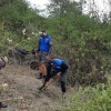 Fosa común con restos de seis personas fue hallada en Guayaquil