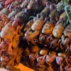 Ecuador suspendió exportación de cangrejos por 6 años