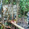 Sistema ilegal de extracción de combustible fue descubierto en Lago Agrio
