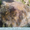 Descubren grabados en rocas en una finca de la Amazonía
