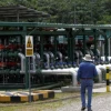 El precio del crudo ecuatoriano mejora después de 42 meses