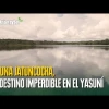 Jatuncocha, la laguna ubicada en el corazón del Yasuní 