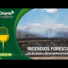 La Voz de la Amazonía: Incendios Forestales en Ecuador