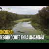 Laguna Limoncocha, el secreto mejor guardado de la Amazonía