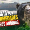 Ya está al aire el más reciente capítulo de nuestro Podcast, Noti Oriente, con los hechos que son noticia hoy en Ecuador.