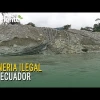 Minería ilegal: el crimen silencioso que destruye Ecuador