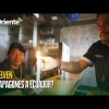 Noticias de Ecuador hoy. Podcast Noti Oriente [26 de agosto, 2024]