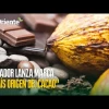 Noticias de Ecuador. Podcast Noti Oriente [10 de julio, 2023]
