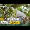 Noticias de Ecuador. Podcast Noti Oriente [20 de junio de 2025]