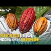Noticias de Ecuador. Podcast Noti Oriente [21 de febrero, 2024] 