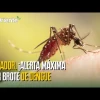 Noticias de Ecuador. Podcast Noti Oriente [31 de enero, 2025]