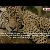 Noticias Ecuador. Noticiero El Oriente 03-12-2021