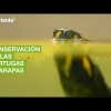 Noticias Ecuador. Noticiero El Oriente 14-04-2022