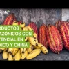 Noticias Ecuador. Podcast Noti Oriente 14-12-2022