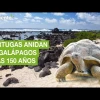 Noticias Ecuador. Podcast Noti Oriente 16-12-2022