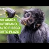 Noticias Ecuador. Podcast Noti Oriente 20-01-2023
