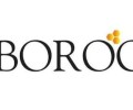 Boroo entra al mercado minero de Ecuador con la compra de concesiones de Codelco