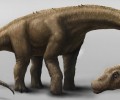 Nuevo f&oacute;sil de dinosaurio hallado en Napo ampl&iacute;a el registro paleontol&oacute;gico de Ecuador