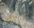 Salazar Resources reporta hallazgo de oro y plata de alta concentraci&oacute;n en Morona Santiago 
