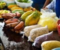 M&aacute;s que ceviche: la gastronom&iacute;a amaz&oacute;nica del Per&uacute;