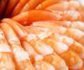 El camarón se mantuvo como el producto estrella