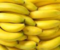 Noboa podrá pedir que se fije precio del banano