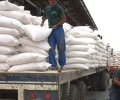 Colombia mantiene bloqueo temporal al arroz ecuatoriano hasta julio