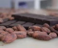 Ca&iacute;da en exportaciones de cacao responde a ajuste de precios internacionales
